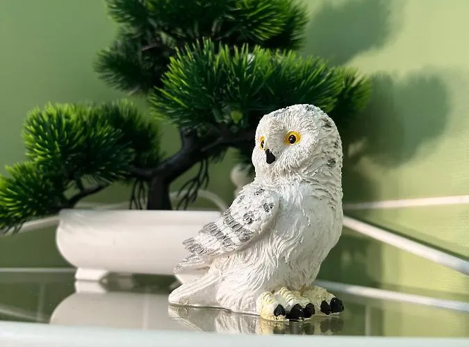 Διαμέρισμα Diamond Σουμπότικα